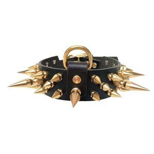 Large Spiked Dog Collar (2)